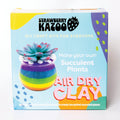 Strawberry Kazoo Air Dry Clay Succulent Craft Kit