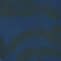Every Day Prints - Leaf Garden - Black/Navy