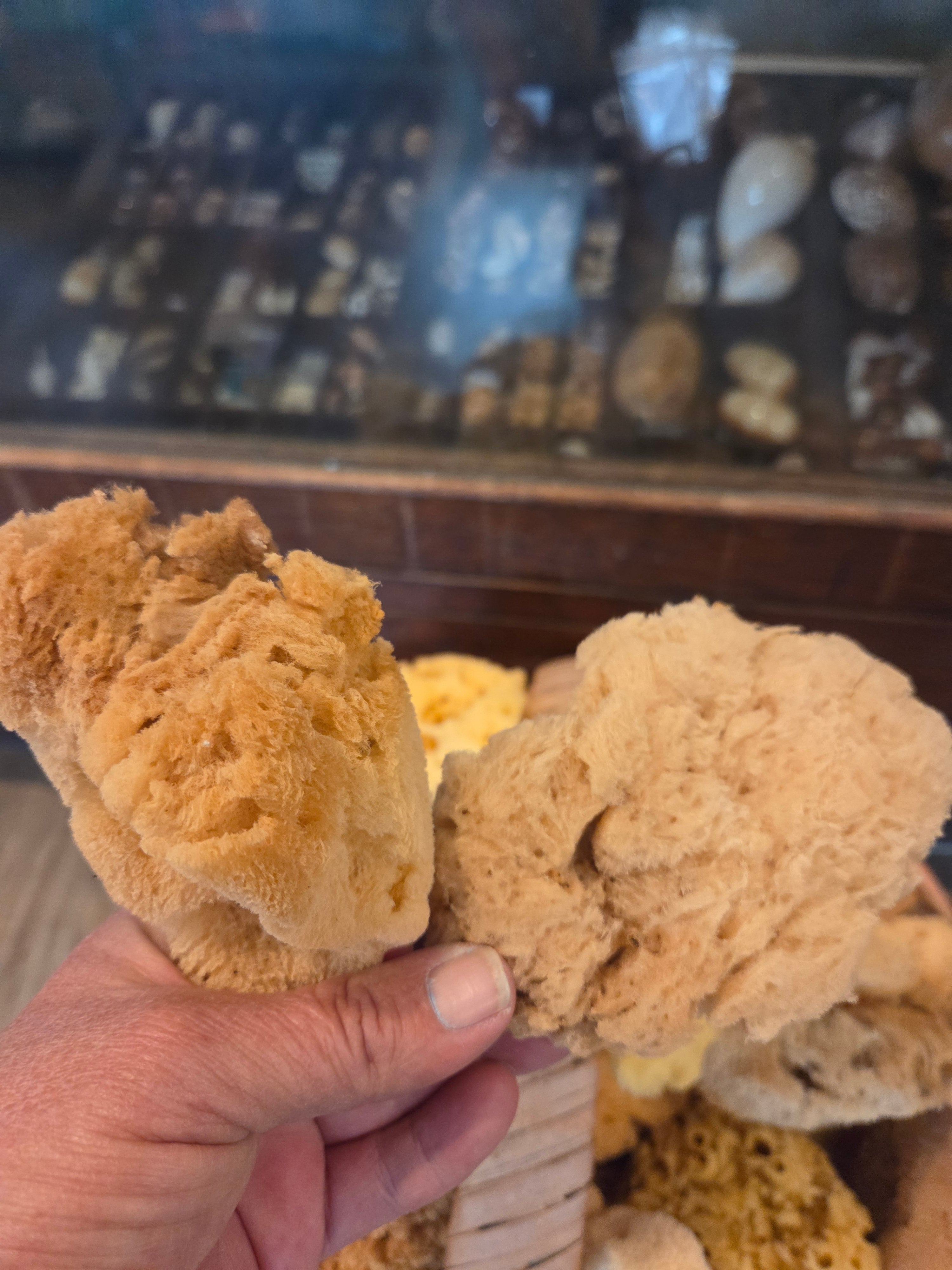 Assorted Natural Sea Sponge
