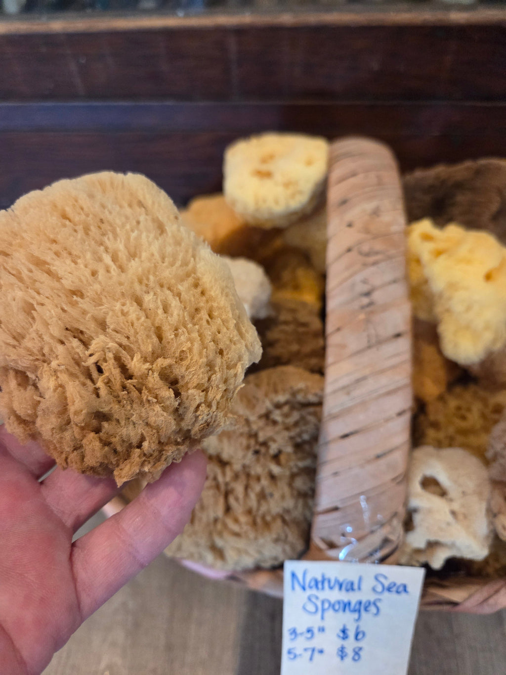 Assorted Natural Sea Sponge