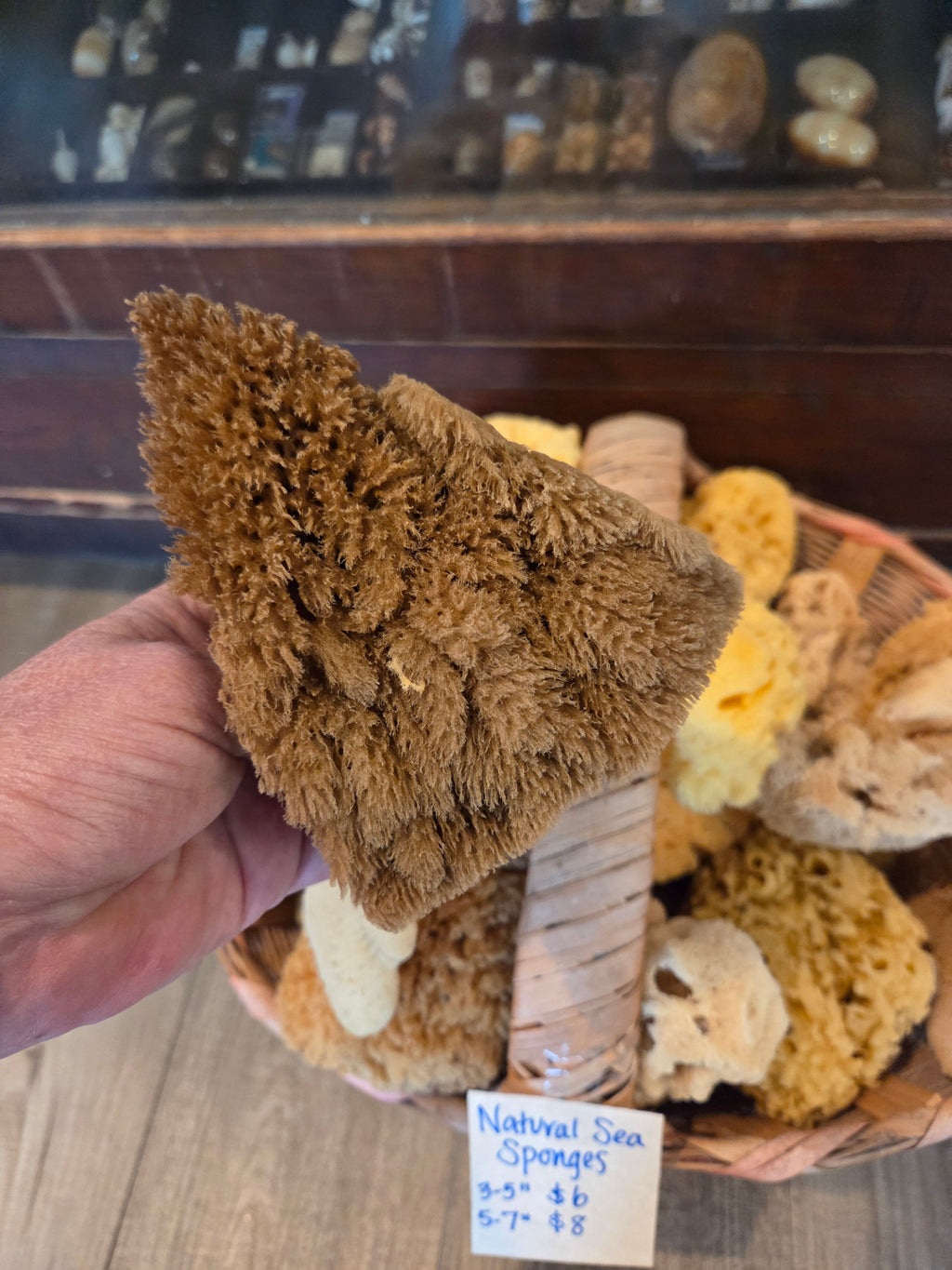 Assorted Natural Sea Sponge