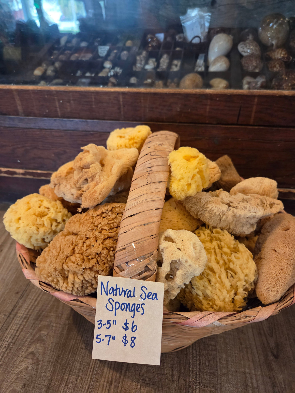 Assorted Natural Sea Sponge